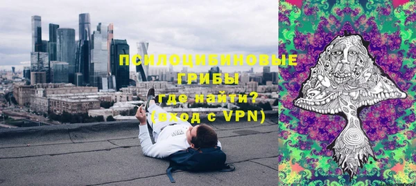 ешки Алексин