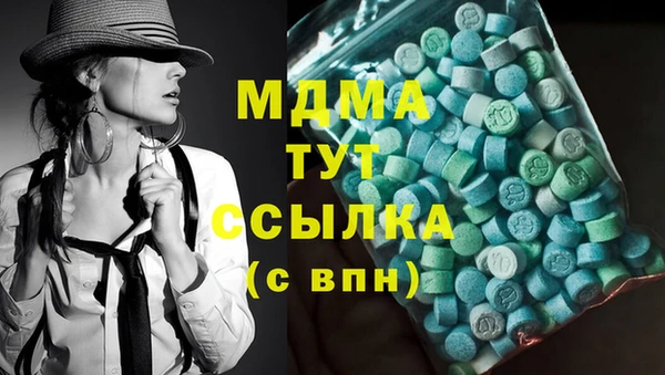ешки Алексин