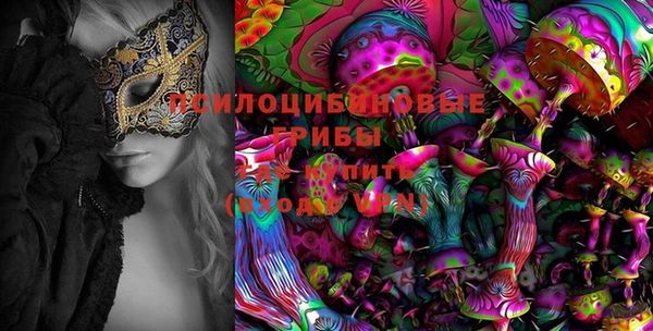 амфетамин Алексеевка