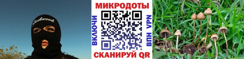 даркнет сайт Сухой Лог Псилоцибиновые грибы Cubensis